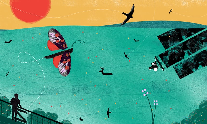 the natural world is disappearing