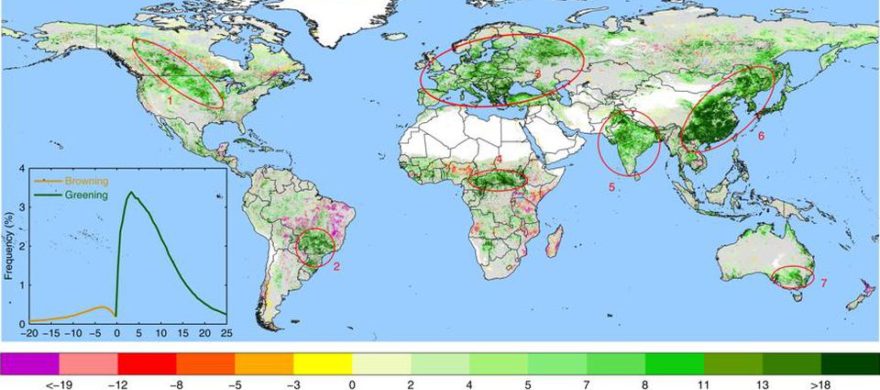 reforestation is working