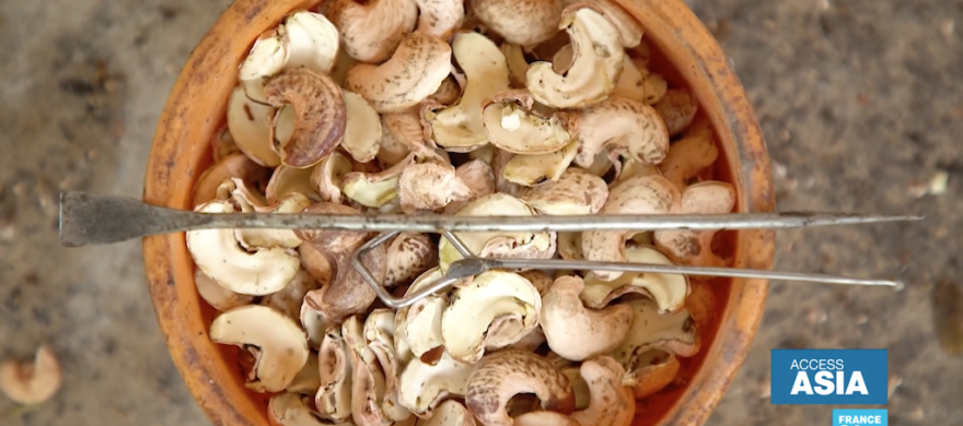 cashew nuts